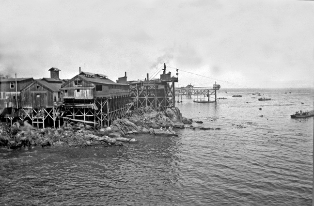 the story of the sardine industry of the world In 1908 lewis hine was hired by the national child labor committee to document the exploitation and working conditions of underage laborers. the story of the sardine industry of the world In 1908 lewis hine was hired by the national child labor committee to document the exploitation and working conditions of underage laborers.