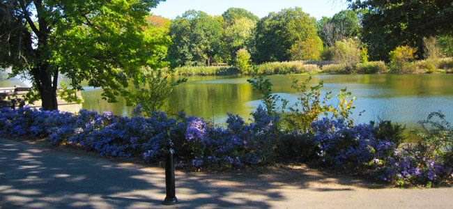 BBP Lake_650x300