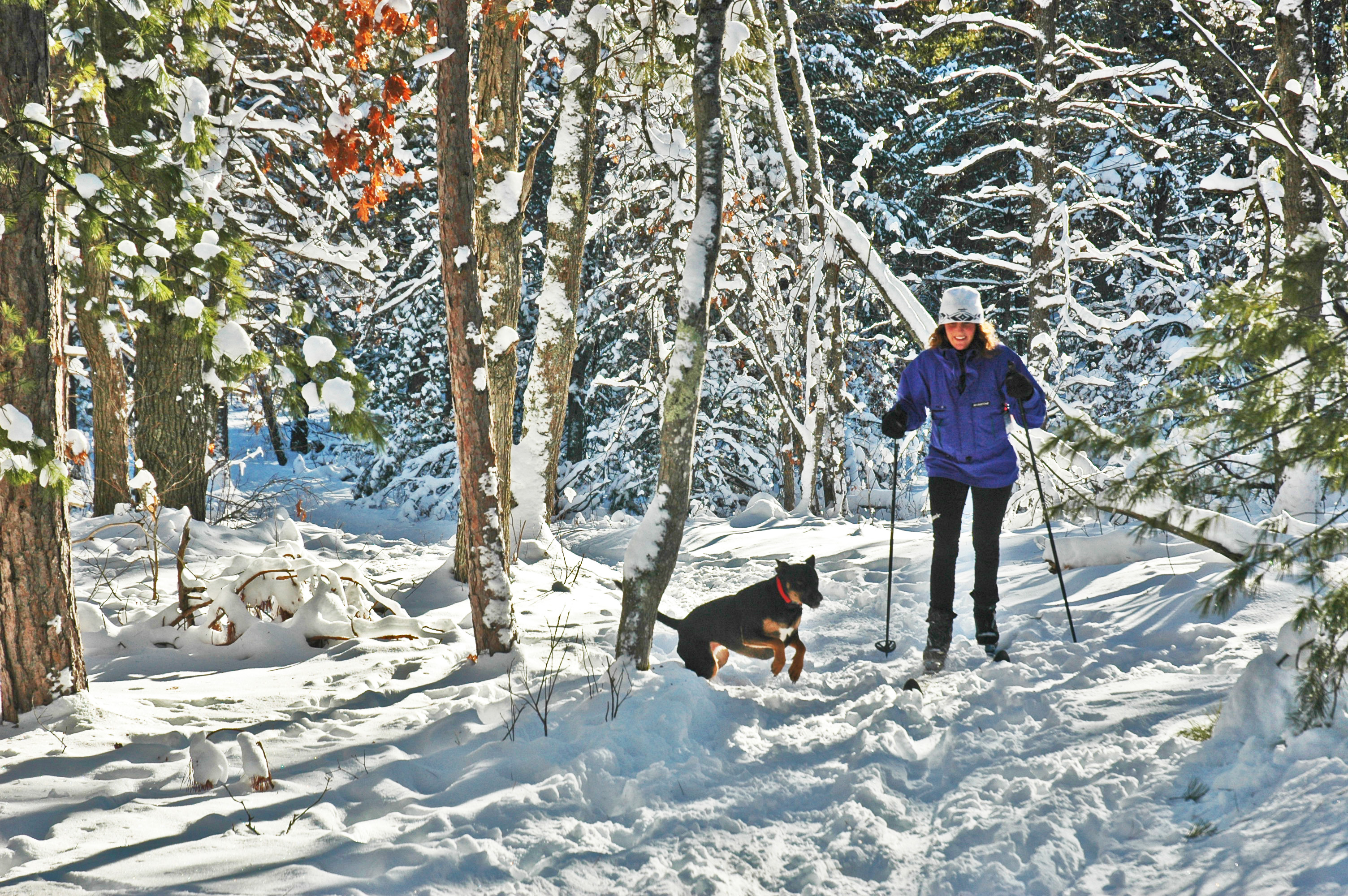 A skier and her canine companion enjoy the trail at Sand Lakes.