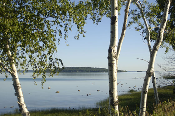 Peaceful and calm lake life on the shores of West Grand Traverse bay.