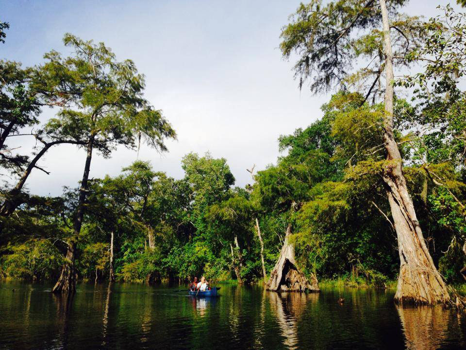 Paddling Big Thicket