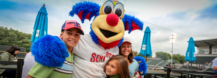 Harrisburg Senators Baseball