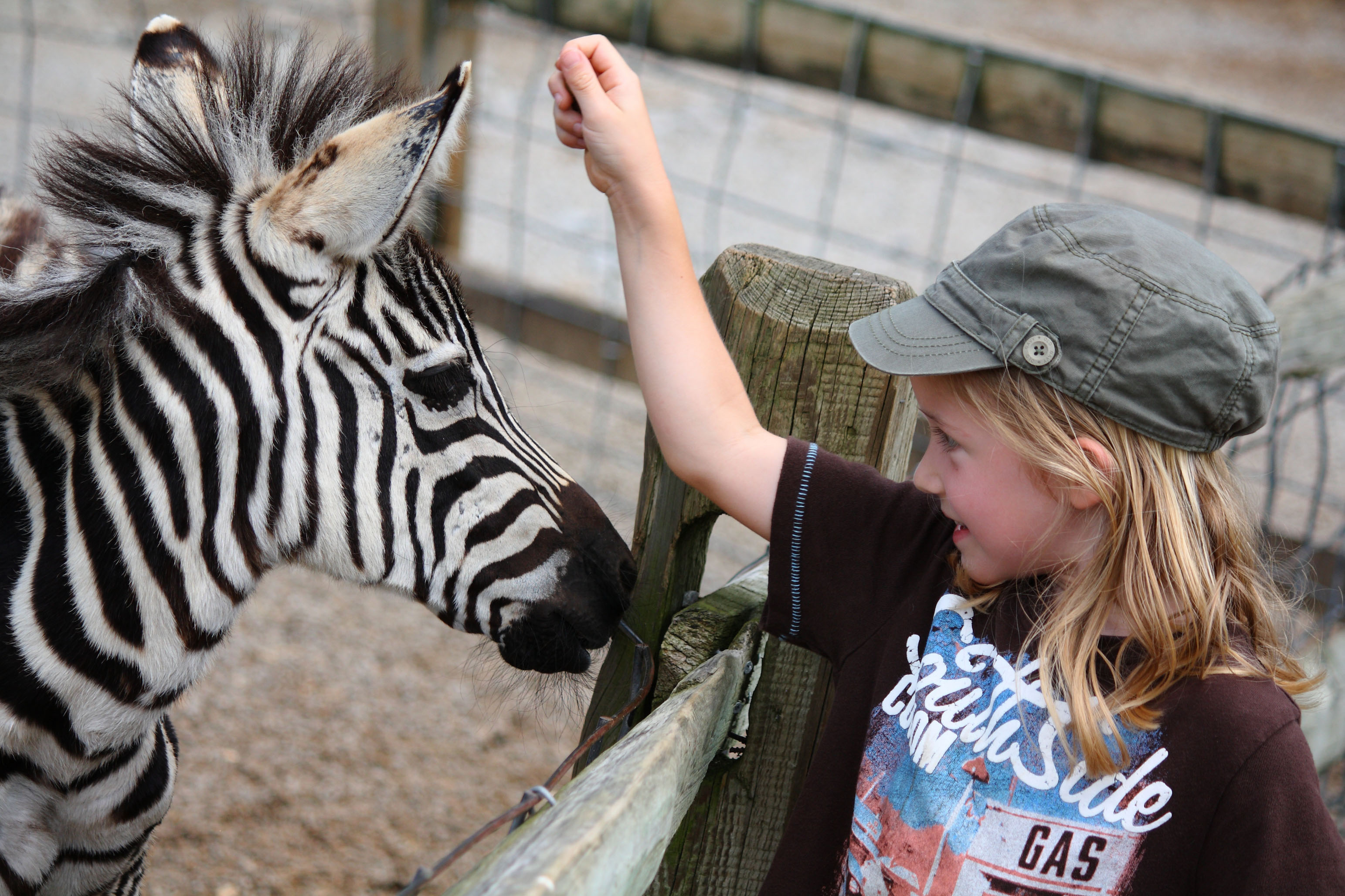 Living Treasures Animal Park