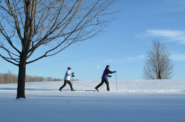 Cross Country Skiing