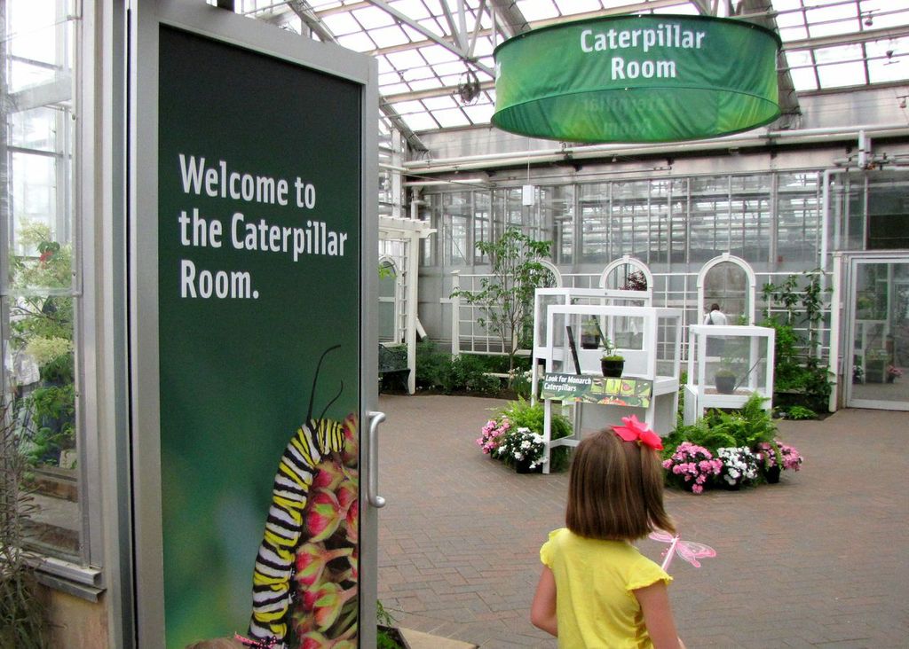 Butterfly Exhibit Frederick Meijer Gardens Grand Rapids Attractions