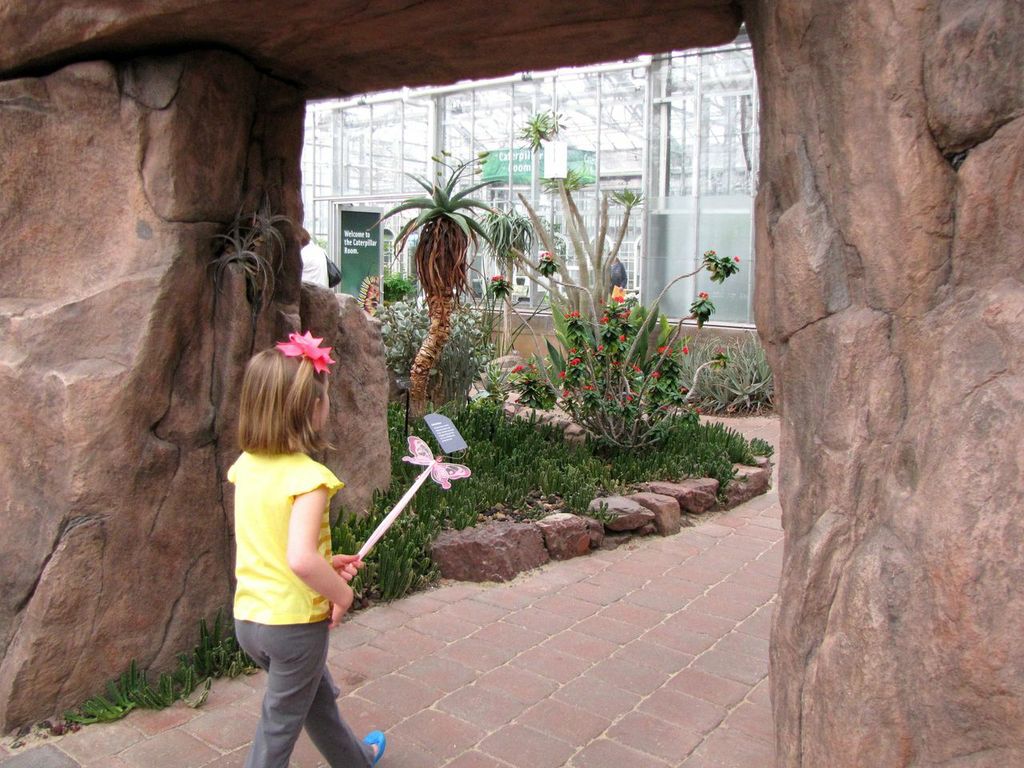 Butterfly Exhibit Frederick Meijer Gardens Grand Rapids Attractions