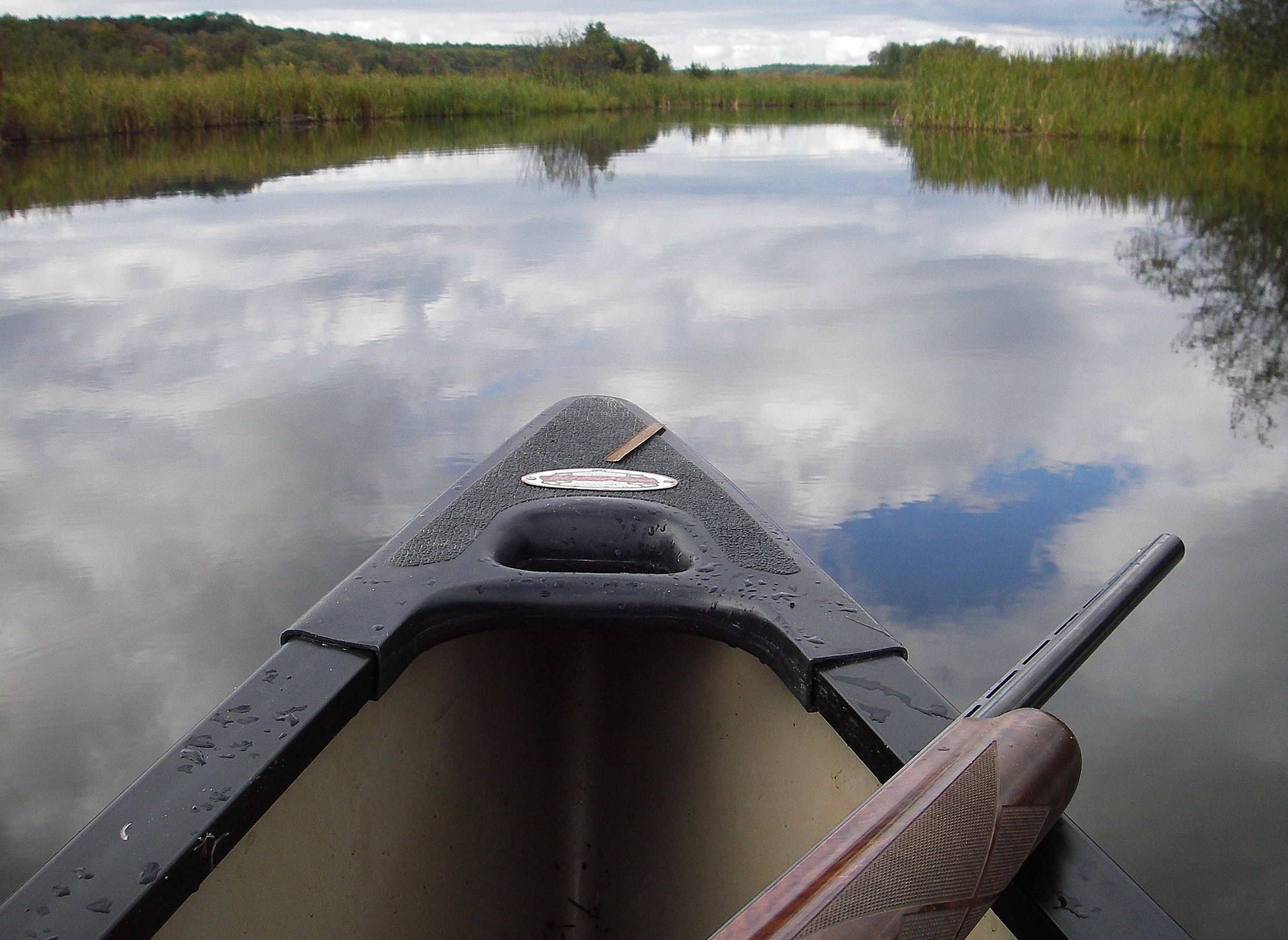 Hunting in Grand Rapids Rabbits, Wild Turkey, Pheasant Experience GR