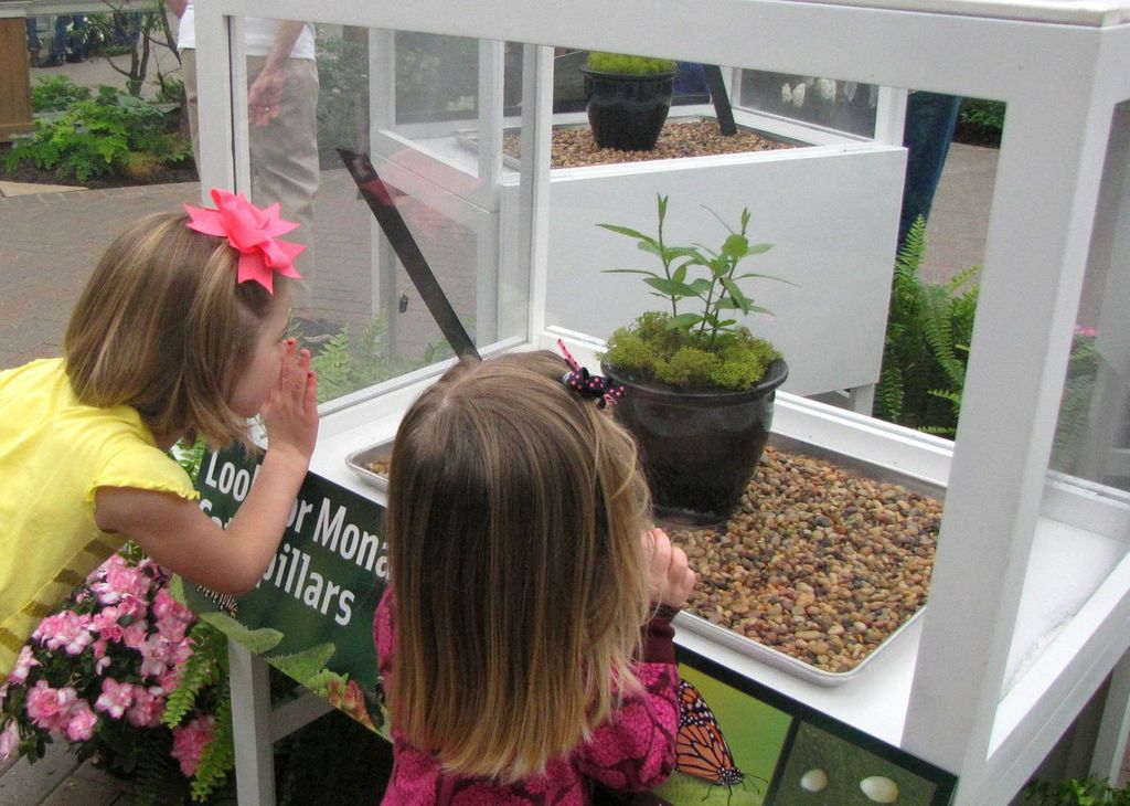 Butterfly Exhibit Frederick Meijer Gardens Grand Rapids Attractions