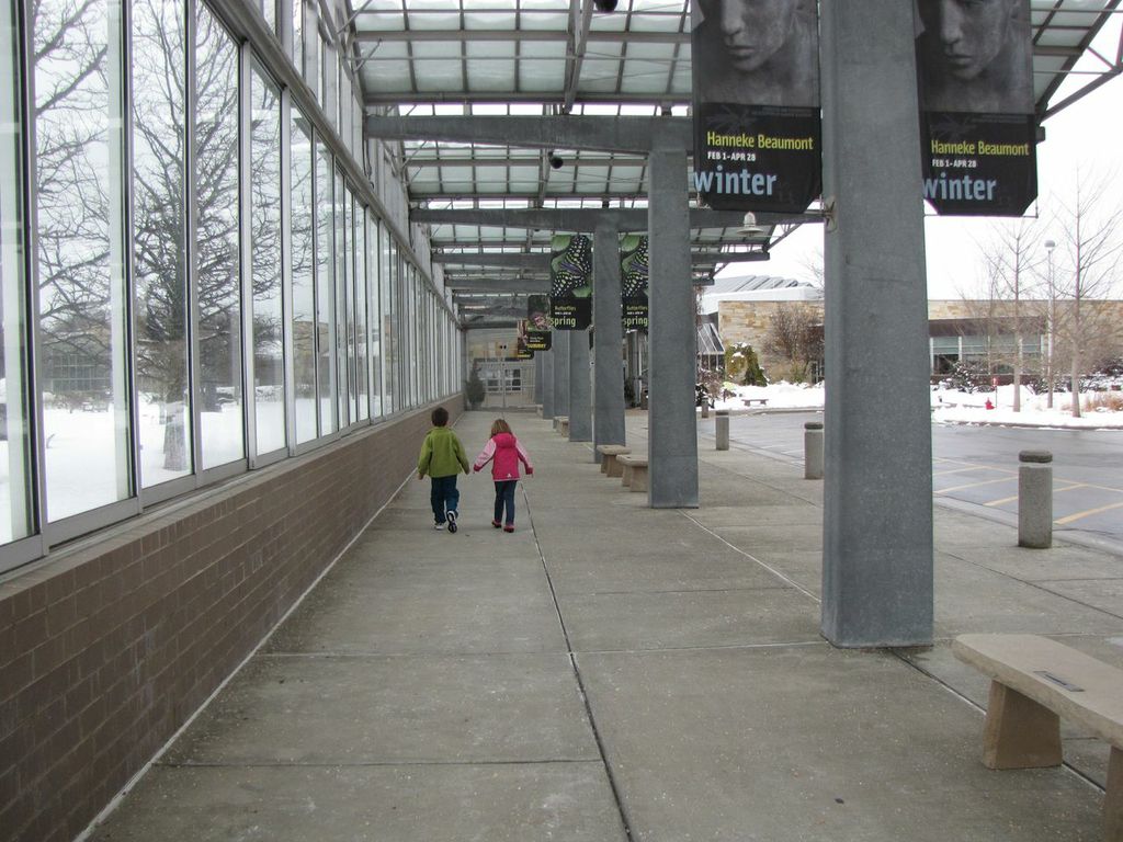 Butterfly Exhibit Frederick Meijer Gardens Grand Rapids Attractions