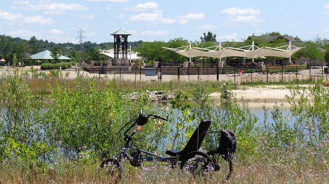 bicycle in the grass in a Grand Rapids park