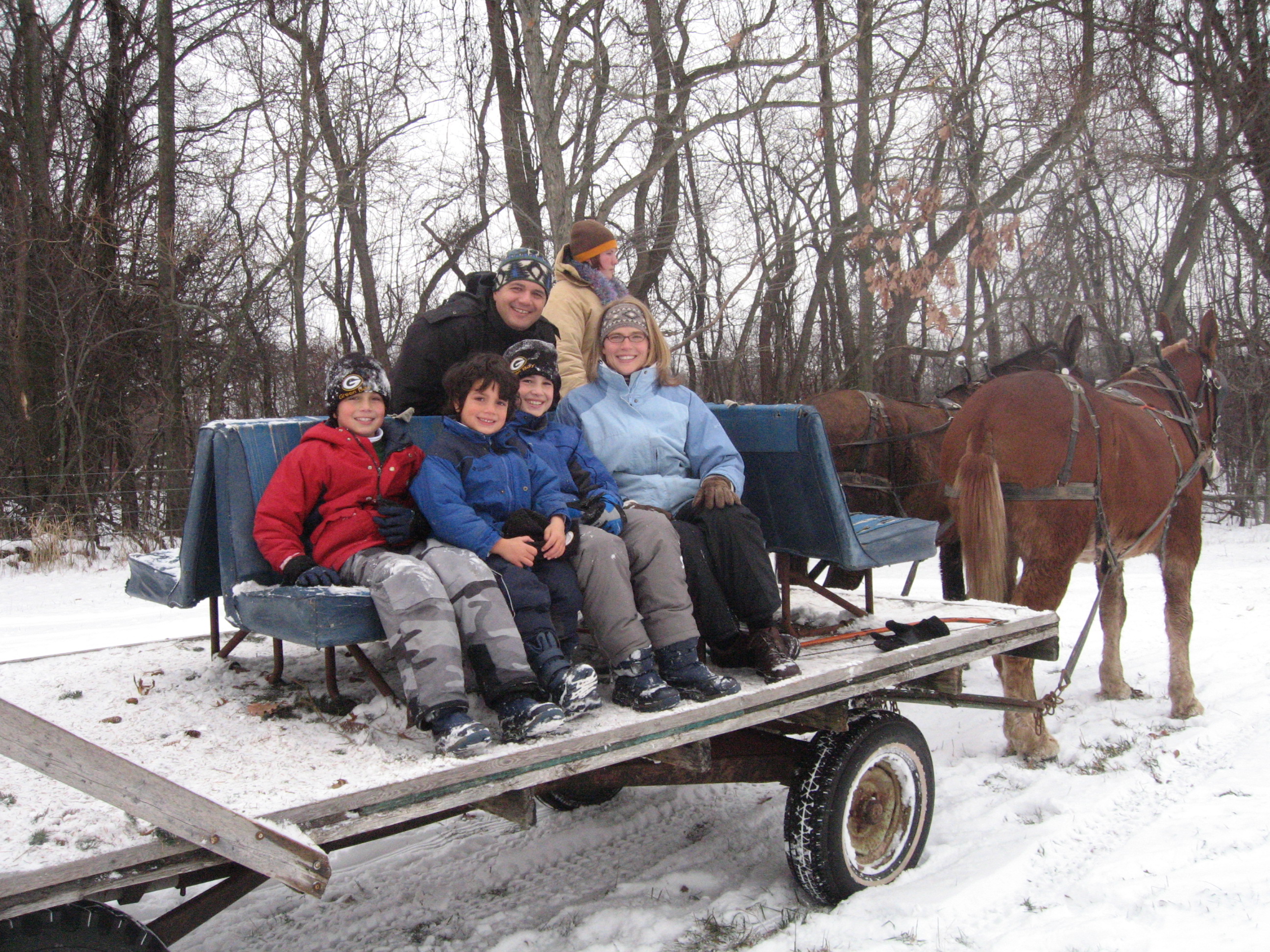 28 best grand rapids christmas tree farms netherlands 28 best grand rapids christmas tree farms netherlands
