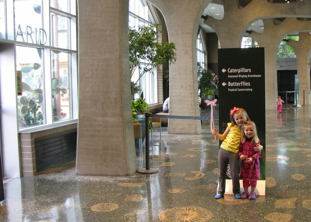 Butterfly Exhibit Frederick Meijer Gardens Grand Rapids Attractions