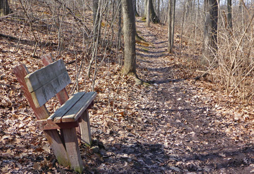 Park bench on the Hodepyl Woods trail in Grand Rapids