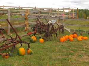 Fruit Ridge Hayrides Fruit Ridge Hayrides in Grand Rapids