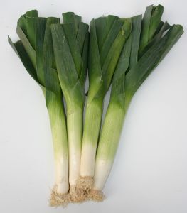 Potato and Leek Winter Soup Recipe