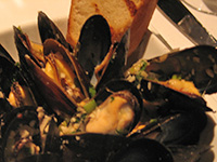 Mussels