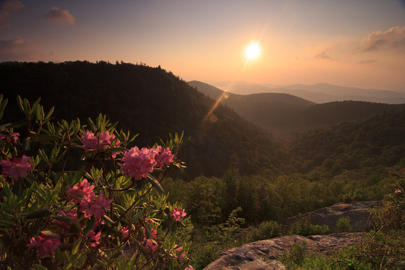 Sunshine on the Parkway in Asheville, NC