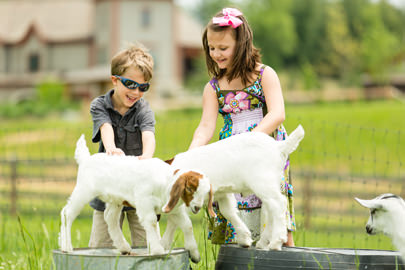 Kids with a kid on a farm in Asheville, NC