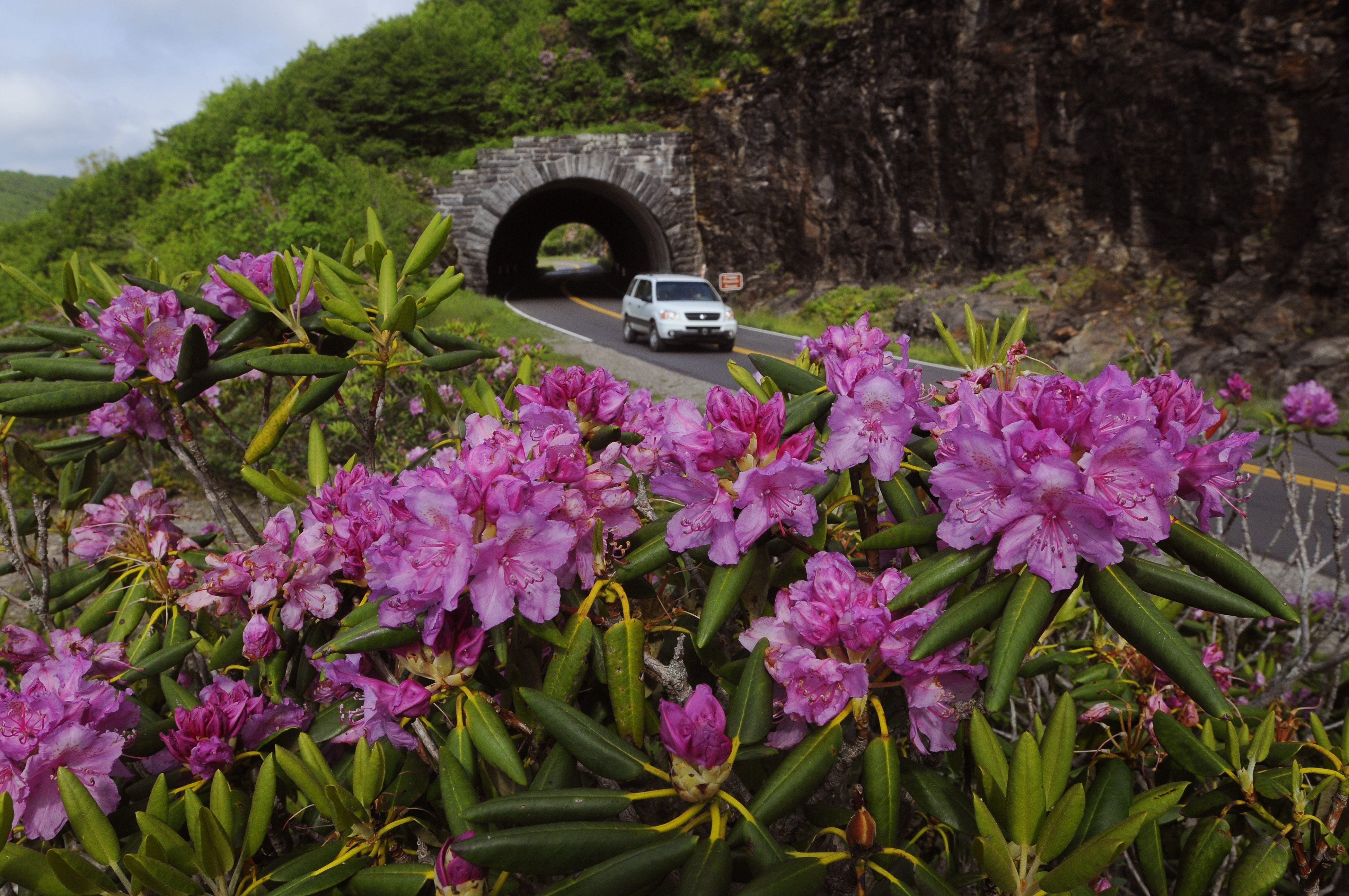 Featured image of post Blue Ridge Parkway Travel Guide - Download the free blue ridge parkway travel planner for your smart phone.