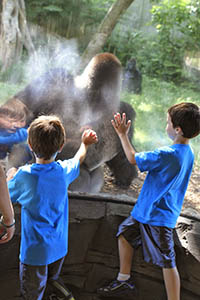 Omaha's Henry Doorly Zoo & Aquarium