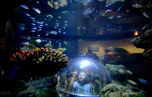 Omaha's Henry Doorly Zoo & Aquarium MiniTrip Planner - Winter in the Midwest