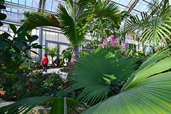 Lauritzen Gardens Conservatory Literary Tour - Blog