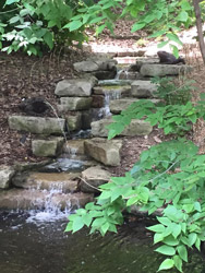 Lauritzen Gardens - Omaha, NE blog - Lauritzen waterfall