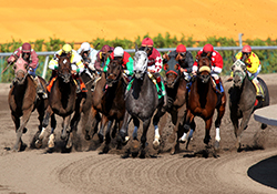 Gulfstream Park Gulfstream Park