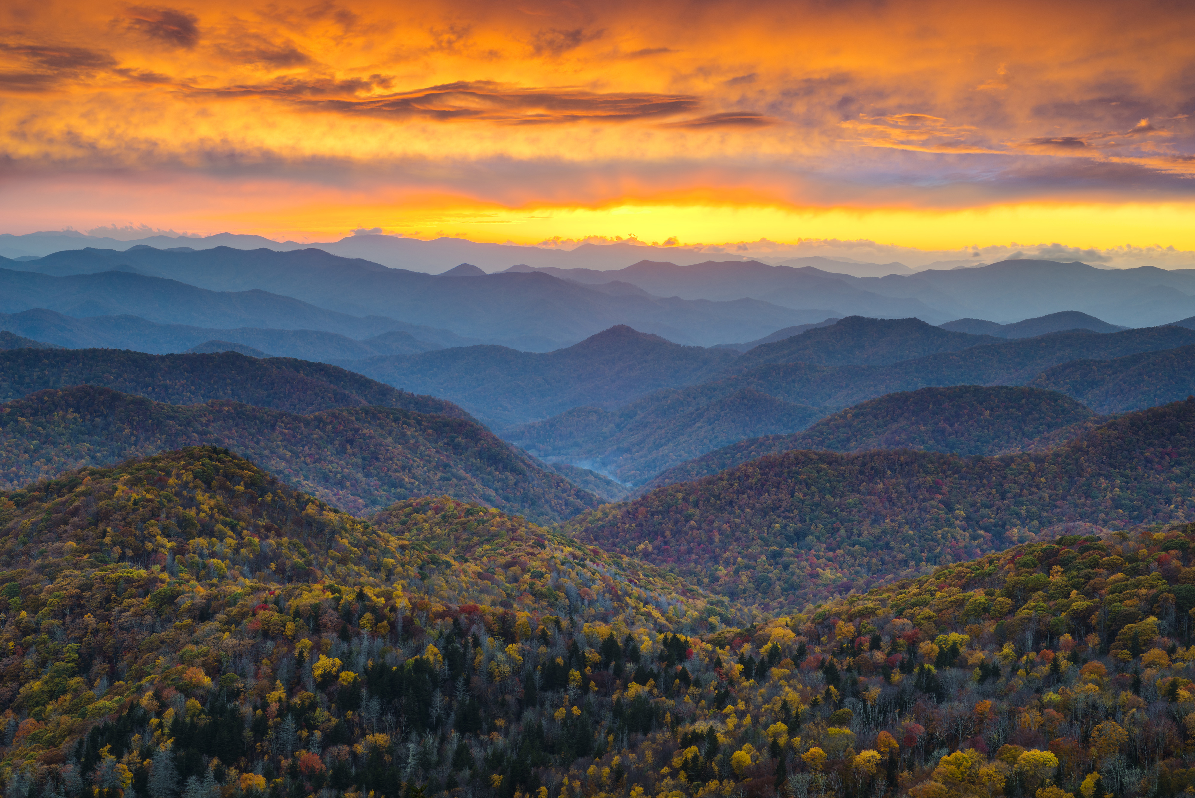 Asheville Nc Climate Chart