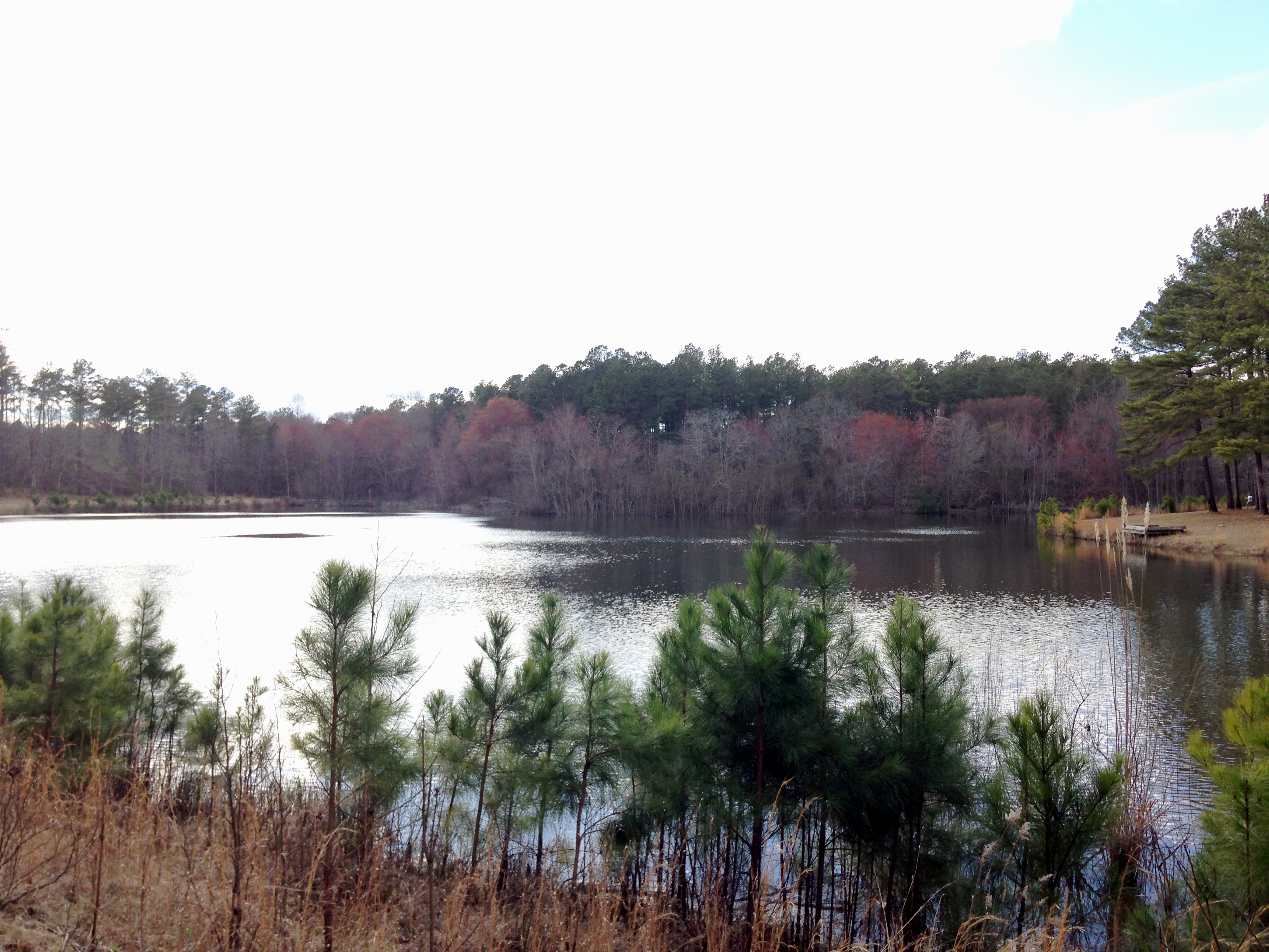 Bartram Forest