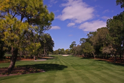 golf course golf course