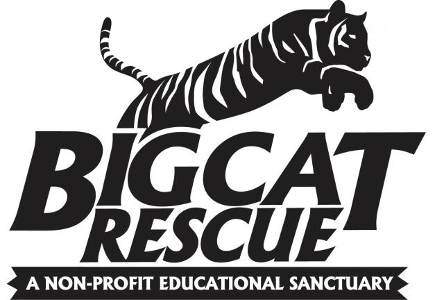 Big Cat Rescue Big Cat Rescue