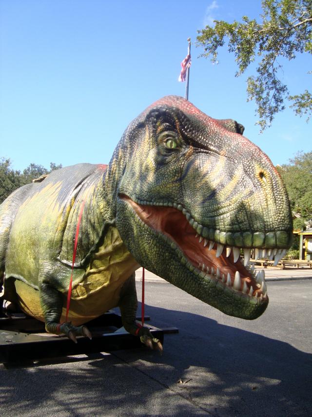 dino dino