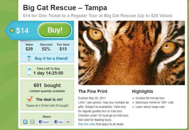 Big Cat REscue Big Cat REscue