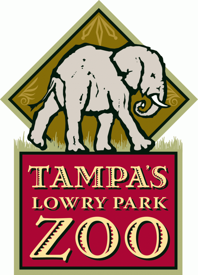 What to Do: Tampa's Lowry Park Zoo What to Do: Tampa's Lowry Park Zoo