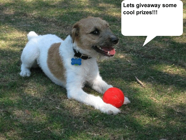 Miles wants to give away some stuff! Miles wants to give away some stuff!