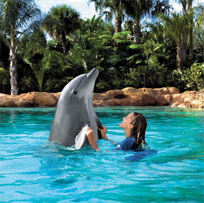 Discovery Cove Orlando Discovery Cove Orlando