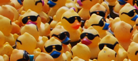 Lucky Ducky Derby! Lucky Ducky Derby!