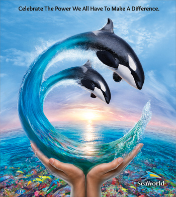 SeaWorld Parks SeaWorld Parks