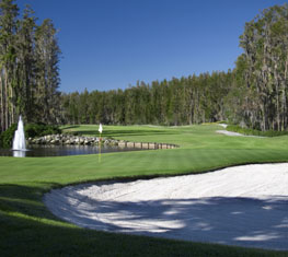 Beautiful Courses at Saddlebrook Resort Tampa Bay Beautiful Courses at Saddlebrook Resort Tampa Bay