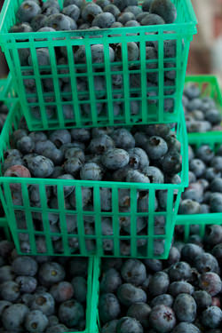 Blueberry Buttermilk Tart | ExploreAsheville.com Blueberry Buttermilk Tart Recipe | ExploreAsheville.com