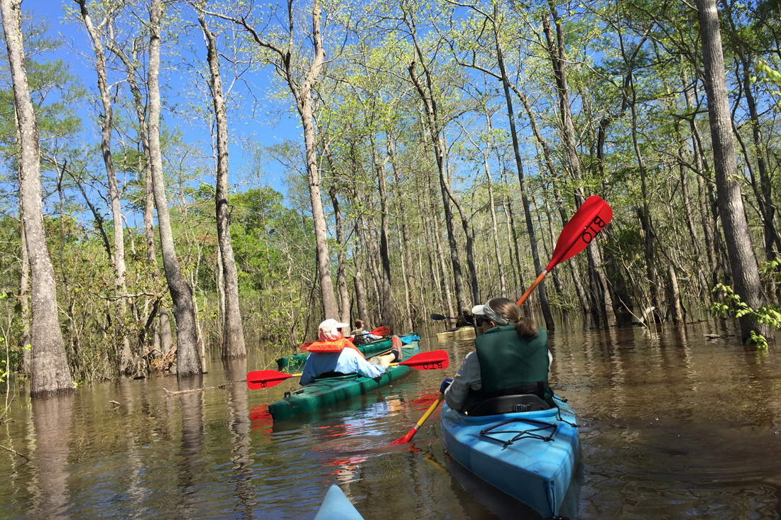 Beaumont Rivers and Lakes Neches River Port of Beaumont