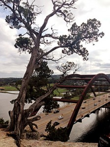 360 Bridge