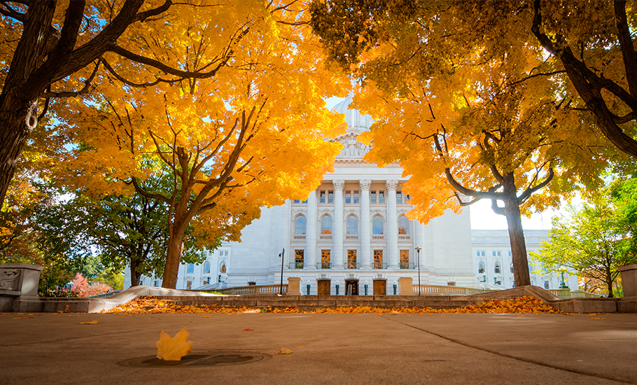 Fall in Madison