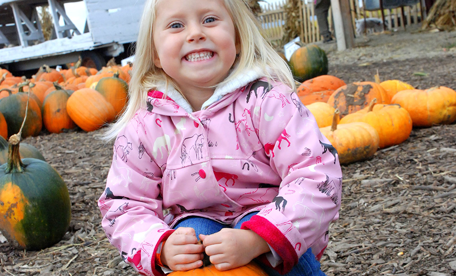 Pick the perfect pumpkin