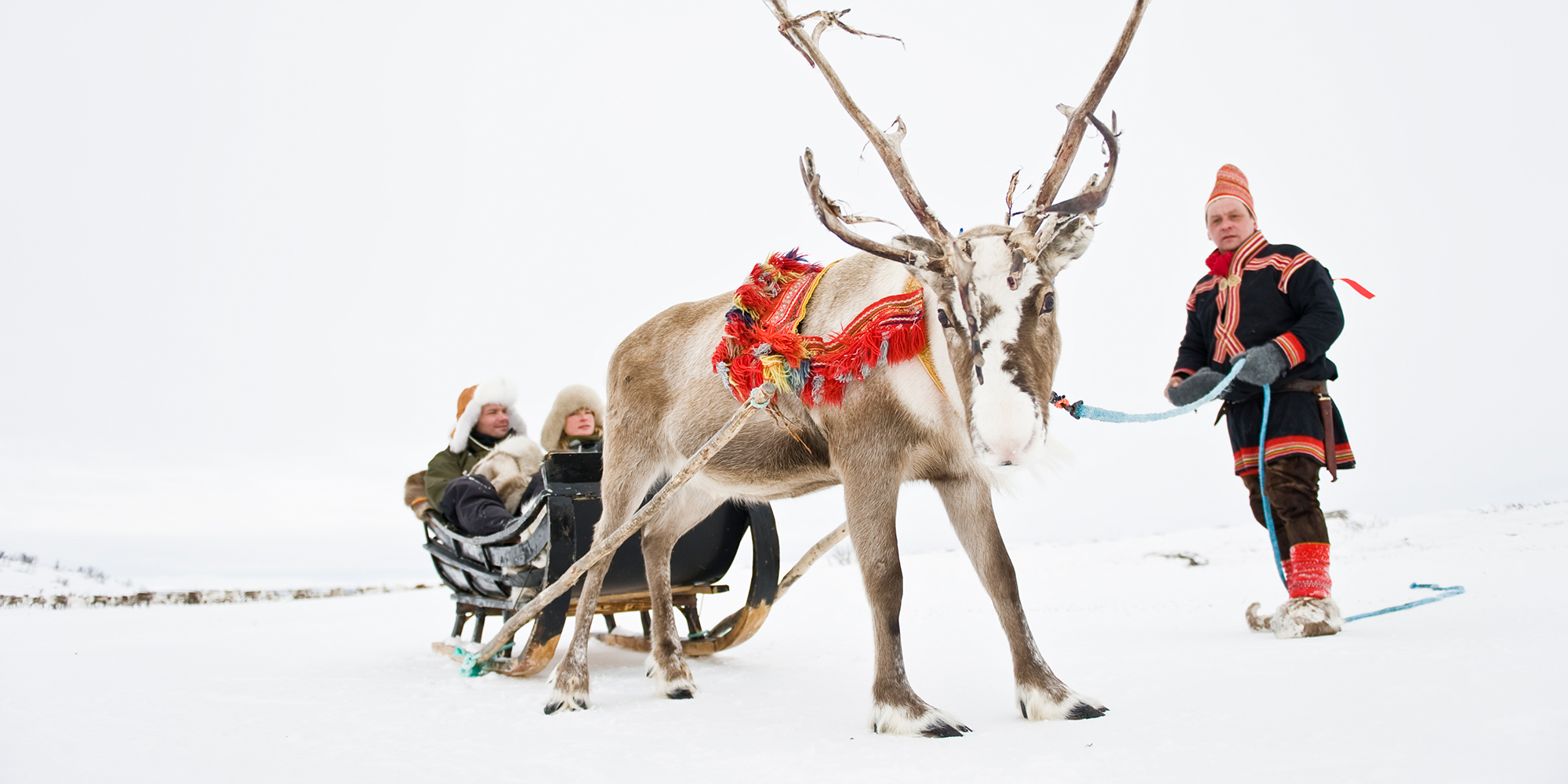 sami reindeer people culture