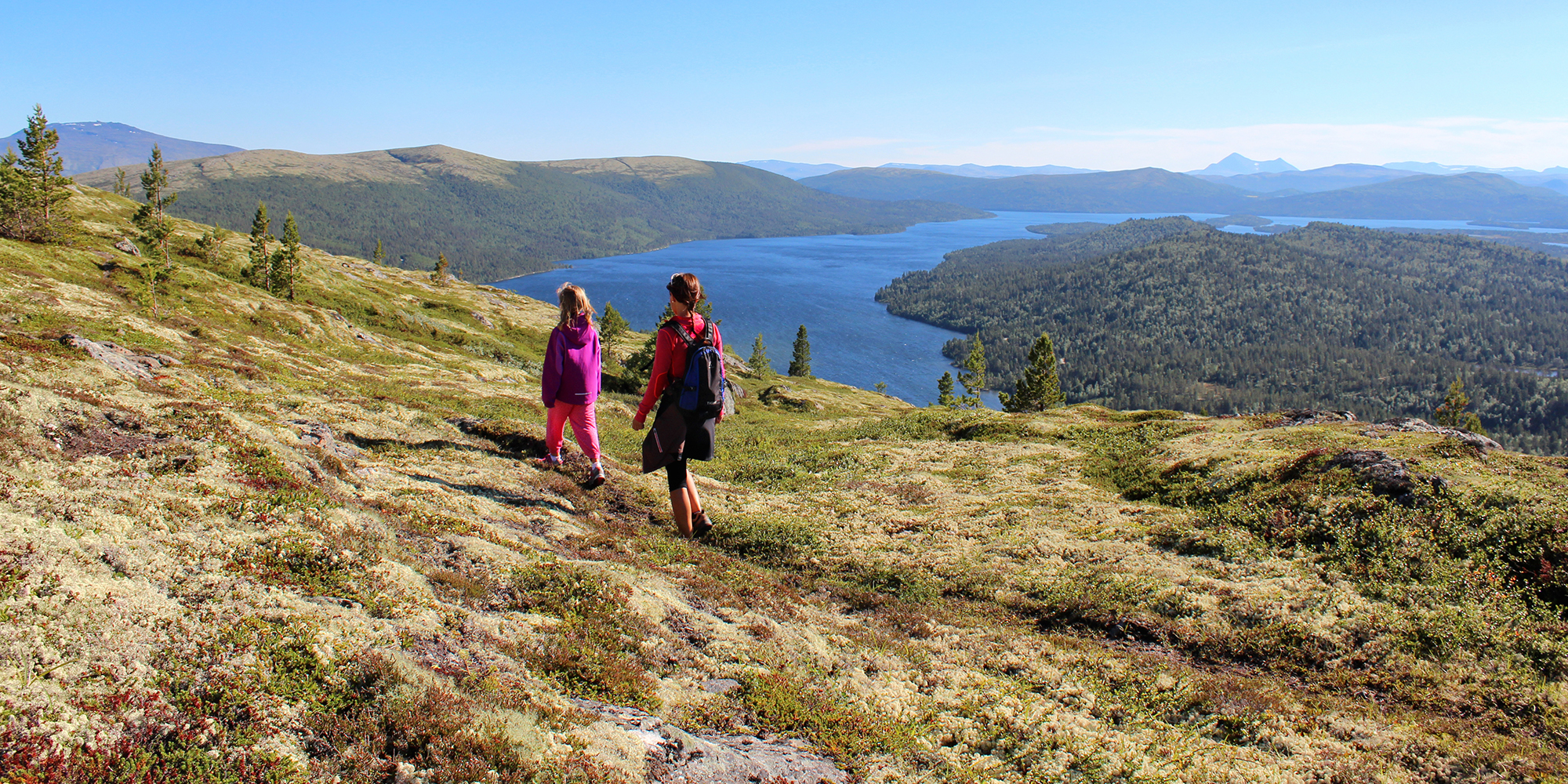 Midnight Sun Safaris – Alaska's Foremost Horseback Outfitters