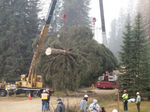Pictures from: Franklin Pemberton who is a public affairs officer with the USDA Forest Service from the Colvile National Forest.