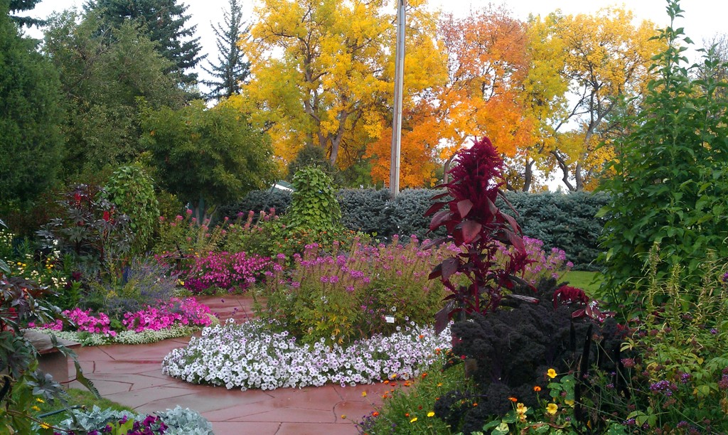fall colors
