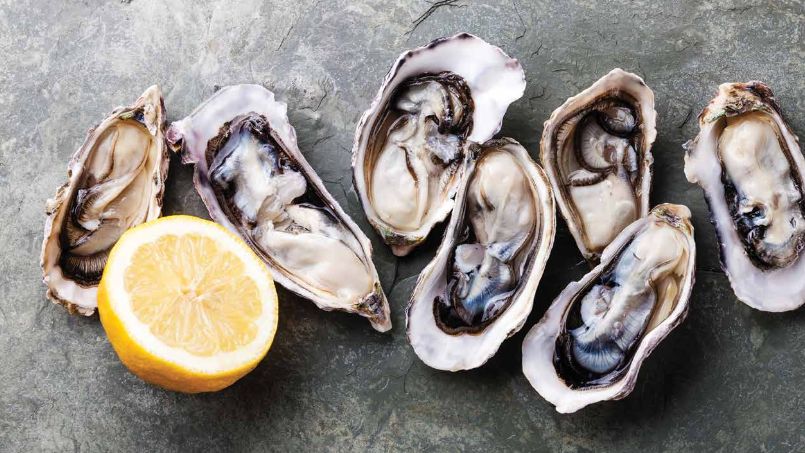 Oyster Blog